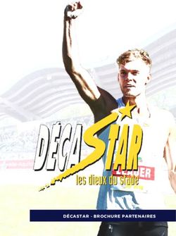 D&Eacute;CASTAR - BROCHURE PARTENAIRES - D&eacute;castar