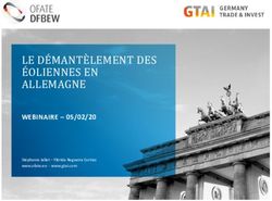 LE D&Eacute;MANT&Egrave;LEMENT DES &Eacute;OLIENNES EN ALLEMAGNE - WEBINAIRE 05/02/20 - GTAI