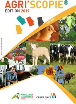 AGRI'SCOPIE ÉDITION 2019 - OCCITA NIE - Chambres d ...