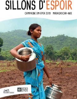 SILLONS D'ESPOIR CAMPAGNE DM-EPER 2019 MADAGASCAR-INDE - Réformés.ch