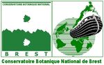 Liste des plantes vasculaires invasives des Pays de la Loire - Conservatoire botanique national de Brest