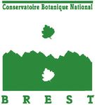 Liste des plantes vasculaires invasives des Pays de la Loire - Conservatoire botanique national de Brest