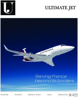 ULTIMATE JET - Serving France beyond its borders