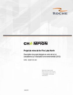 Projet de mine de fer Fire Lake North