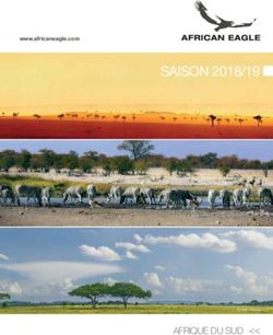 SAISON 2018/19 - AFRIQUE DU SUD