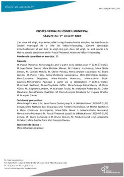 PROC&Egrave;S-VERBAL DU CONSEIL MUNICIPAL