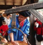 D&eacute;couvrez les 5 stations de montagne d'avenir ! - Le Flocon Vert