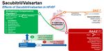Insuffisance cardiaque à fraction d'éjection réduite: sacubitril-valsartan (Entrestomd) ou dapagliflozine (Forxigamd) ? - Coeur Poumons