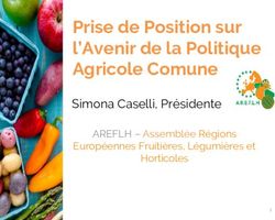 Prise de Position sur l'Avenir de la Politique Agricole Comune - Simona Caselli, Présidente - areflh