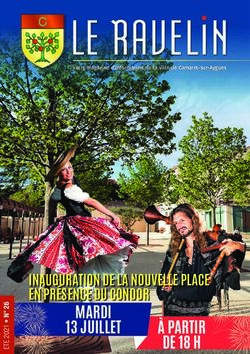 MARDI 13 JUILLET INAUGURATION DE LA NOUVELLE PLACE EN PR&Eacute;SENCE DU CONDOR - Votre Magazine d'information de la ville de Camaret-sur-Aygues