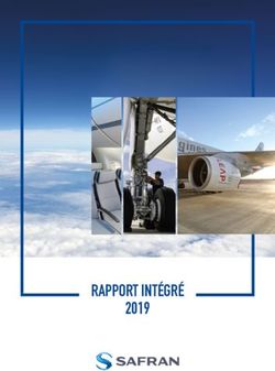 RAPPORT INT&Eacute;GR&Eacute; 2019 - Safran