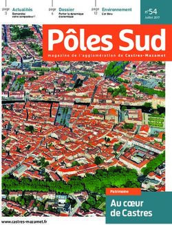 Au coeur de Castres - n 54 - Communauté d'agglomération de Castres ...