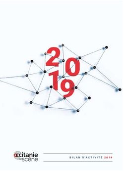 BILAN D'ACTIVITÉ 2019 - Occitanie en scène