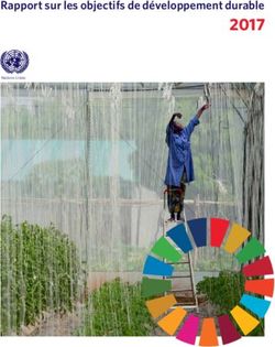 2017 Rapport sur les objectifs de développement durable - UN SDG ...