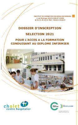 DOSSIER D'INSCRIPTION SELECTION 2021 POUR L'ACCES A LA FORMATION CONDUISANT AU DIPLOME INFIRMIER - IFSI Centre ...