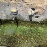 L'eau, une ressource pour la vie - Comment la directive-cadre sur l'eau contribue &agrave; prot&eacute;ger les ressources de l'Europe