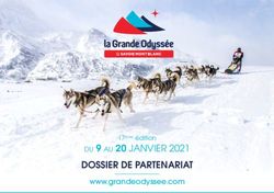 DOSSIER DE PARTENARIAT - DU 9 AU 20 JANVIER 2021 www.grandeodyssee.com - La Grande ...
