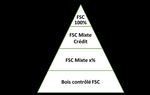 Certification de la Cha&icirc;ne de contr&ocirc;le - FSC-STD-40-004 V3-1 FR