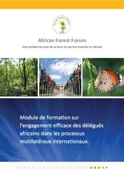 Module de formation sur l'engagement efficace des délégués africains dans les processus multilatéraux internationaux - African Forest Forum