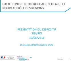 LUTTE CONTRE LE DECROCHAGE SCOLAIRE ET NOUVEAU R&Ocirc;LE DES REGIONS PRESENTATION DU DISPOSITIF SIEI/RIO 10/06/2016 - Centre Inffo
