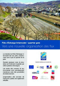 Vers une nouvelle organisation des flux - P&ocirc;le d'Echange Intermodal / quartier gare - CABA