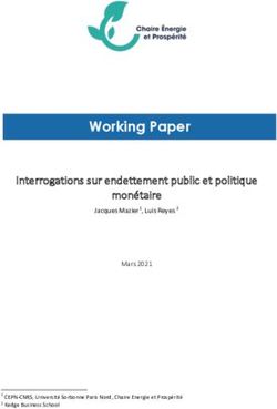 Working Paper Interrogations sur endettement public et politique monétaire - Jacques Mazier1, Luis Reyes 2