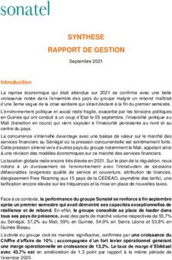 SYNTHESE RAPPORT DE GESTION - BRVM