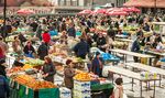 SIMA Syst&egrave;mes d'information Sur les march&eacute;s agricoles - OIMA - IICA