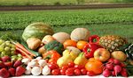 SIMA Syst&egrave;mes d'information Sur les march&eacute;s agricoles - OIMA - IICA
