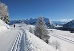 S&eacute;jours &agrave; th&egrave;mes &Eacute;t&eacute; 2018
