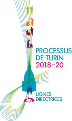 PROCESSUS DE TURIN 2018-20 - LIGNES DIRECTRICES - European Training Foundation