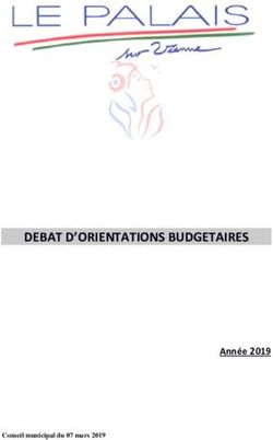 DEBAT D'ORIENTATIONS BUDGETAIRES - Année 2019 - Mairie du Palais sur Vienne