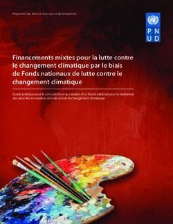 Financements mixtes pour la lutte contre le changement climatique par le biais de Fonds nationaux de lutte contre le changement climatique - UNDP
