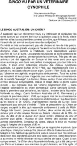 DINGO VU PAR UN VETERINAIRE - CYNOPHILE