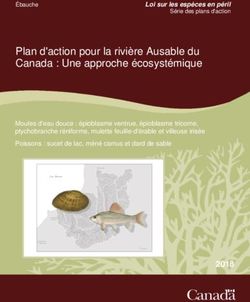 Plan d'action pour la rivière Ausable du Canada : Une approche écosystémique