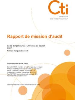 Rapport de mission d'audit - Ecole d'ing&eacute;nieur de l'universit&eacute; de Toulon EIUT