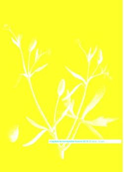 Magdalena montpellier france 2019 30 sept.-12 oct - Théâtre ...