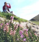 H&Eacute;BERGEMENTS POUR CURES THERMALES - 2016 Bar&egrave;ges Vall&eacute;e de Labatsus - Grand Tourmalet