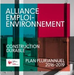 ALLIANCE EMPLOI CONSTRUCTION DURABLE PLAN PLURIANNUEL - La wallonie | Développement ...