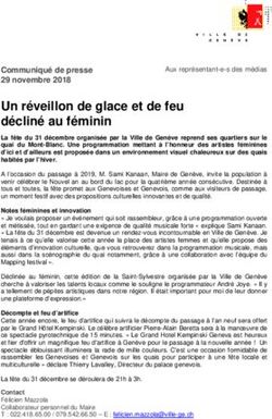 Un r&eacute;veillon de glace et de feu d&eacute;clin&eacute; au f&eacute;minin - Ville de Gen&egrave;ve