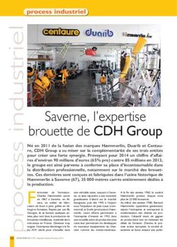 Saverne, l'expertise brouette de CDH Group - process industriel