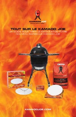 TOUT SUR LE KAMADO JOE - KAMADOJOE.COM