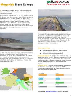 MEGARIDE NORD EUROPE - MEGAVOYAGES