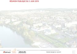 RÉUNION PUBLIQUE DU 3 JUIN 2019