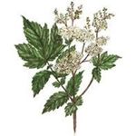 Notre catalogue 2018 - Active Succ&egrave;s