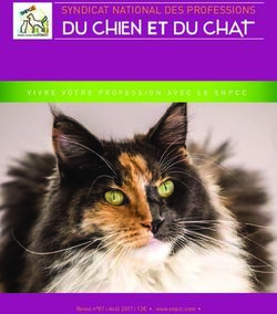 DU CHIEN ET DU CHAT SYNDICAT NATIONAL DES PROFESSIONS - VIVRE VOTRE PROFESSION AVEC LE SNPCC