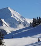 16-22 Janvier 2020 - JOURNAL DES COMMER&Ccedil;ANTS ET ARTISANS COMMUNE DE LEYSIN ASSOCIATION TOURISTIQUE AIGLE-LEYSIN-COL DES MOSSES