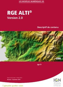 RGE ALTI Version 2.0 Descriptif de contenu - IGN