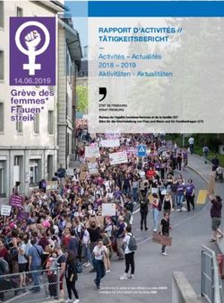Grève des femmes* Frauen* streik - RAPPORT D'ACTIVITÉS // TÄTIGKEITSBERICHT Activités - Actualités 2018 - 2019 Aktivitäten - Aktualitäten - Etat ...