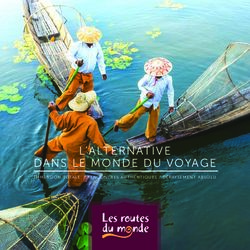 L'ALTERNATIVE DANS LE MONDE DU VOYAGE - Les ...
